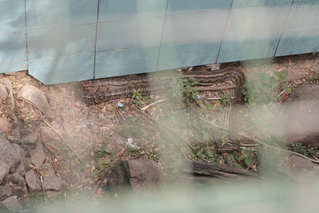 Cherryfield Nursery and Primary School Gwarinpa, Abuja 