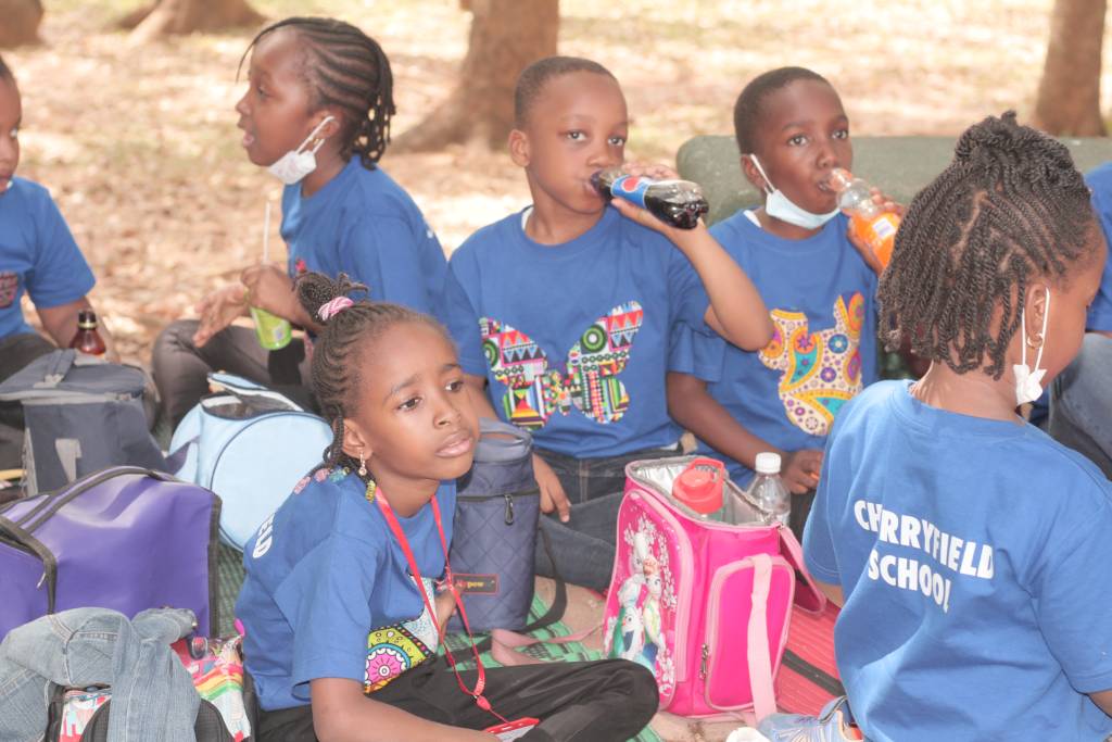 Cherryfield Nursery and Primary School Gwarinpa, Abuja 